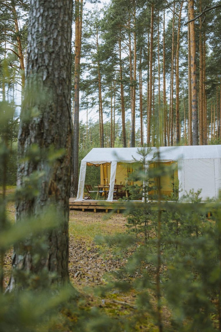 Experience serene glamping in a forest setting with this picturesque tent